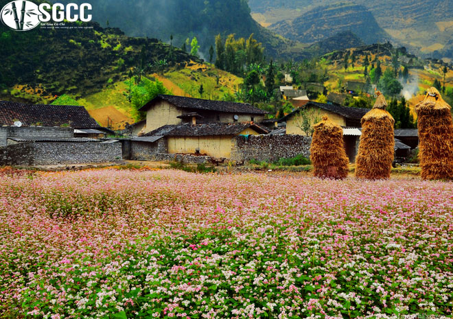 Những địa điểm hấp dẫn khi du lịch vùng núi Tây Bắc 29 Du-lịch-vùng-núi-Tây-Bắc