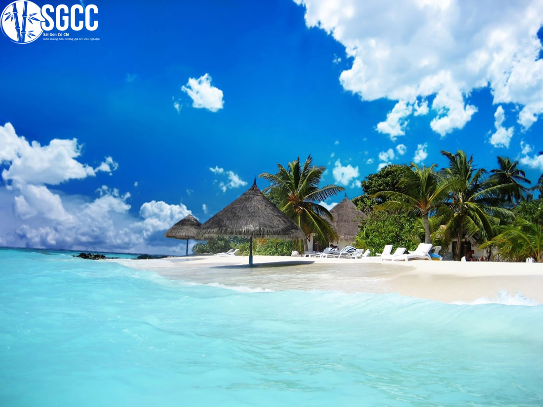 Kinh nghiệm du lịch Phú Quốc tự túc mới nhất. Đi đâu, chơi gì, ăn gì? 73 Tour du lịch Phú Quốc