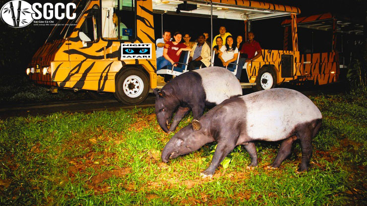 Tour du lịch đi từ Tphcm đến Singapore 27 Vườn thú Night Safari