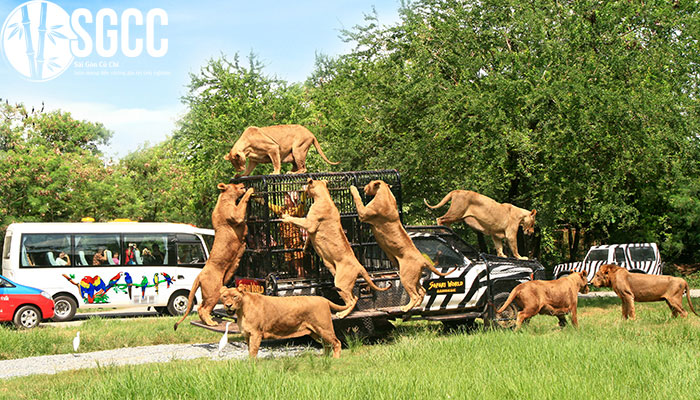  Vườn thú Safari World