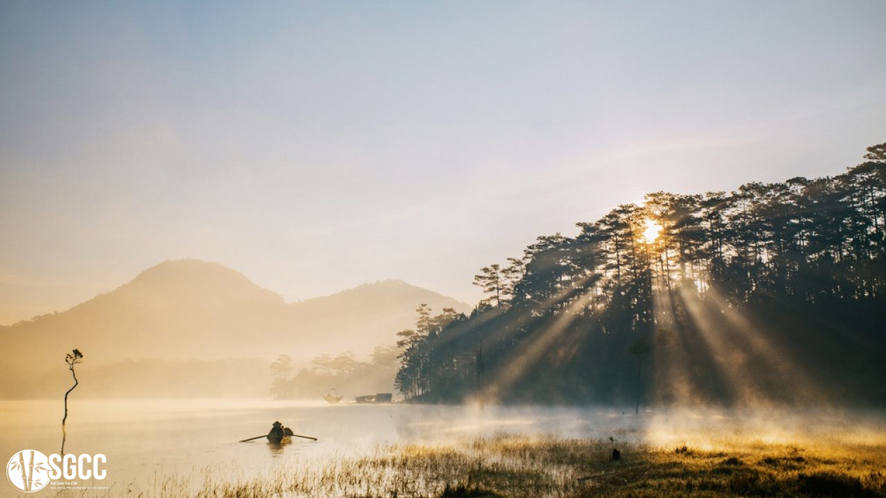 Hình ảnh đẹp ngất ngây buổi ban mai bên Hồ Tuyền Lâm 