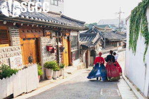 Khám phá mùa đông Hàn Quốc Seoul – Nami – Lotte World – Trượt Tuyết