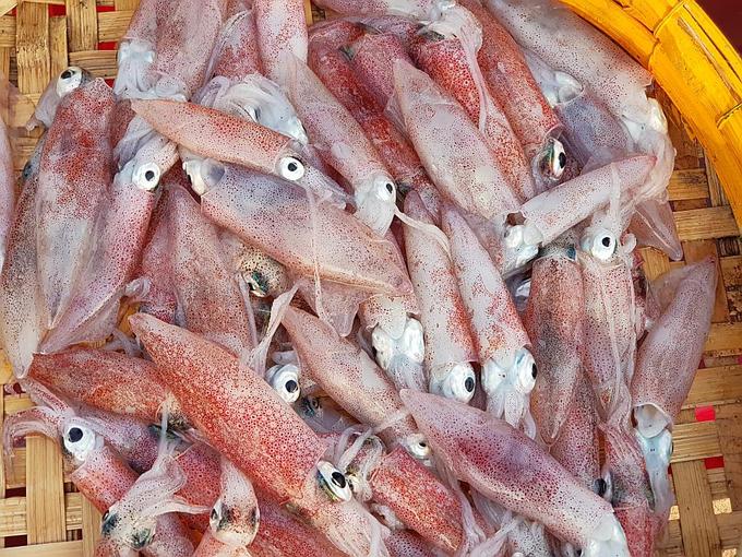 Chợ hải sản di động bên bờ biển Quảng Nam
