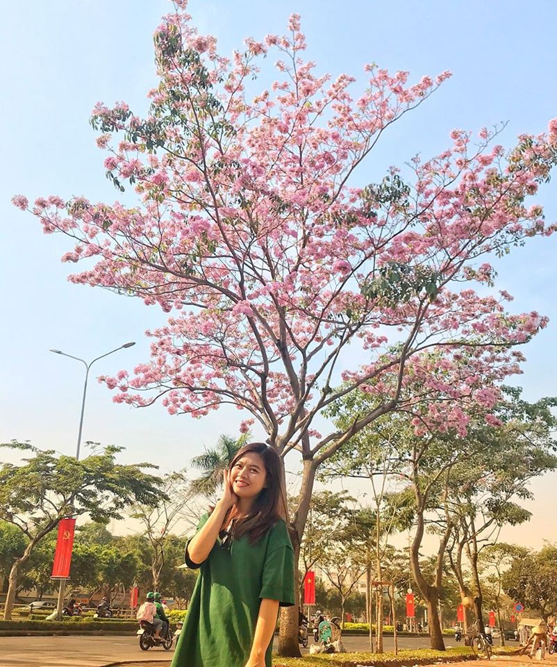 Phải lòng 3 mùa hoa Sài Gòn vừa đẹp vừa lãng mạn