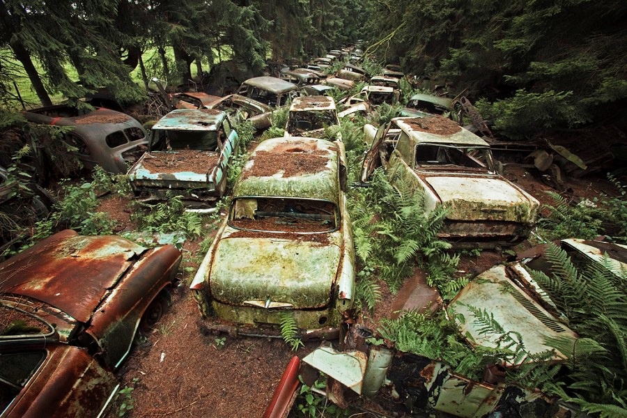 Những nghĩa địa xe hơi ẩn mình trong rừng rậm hút khách