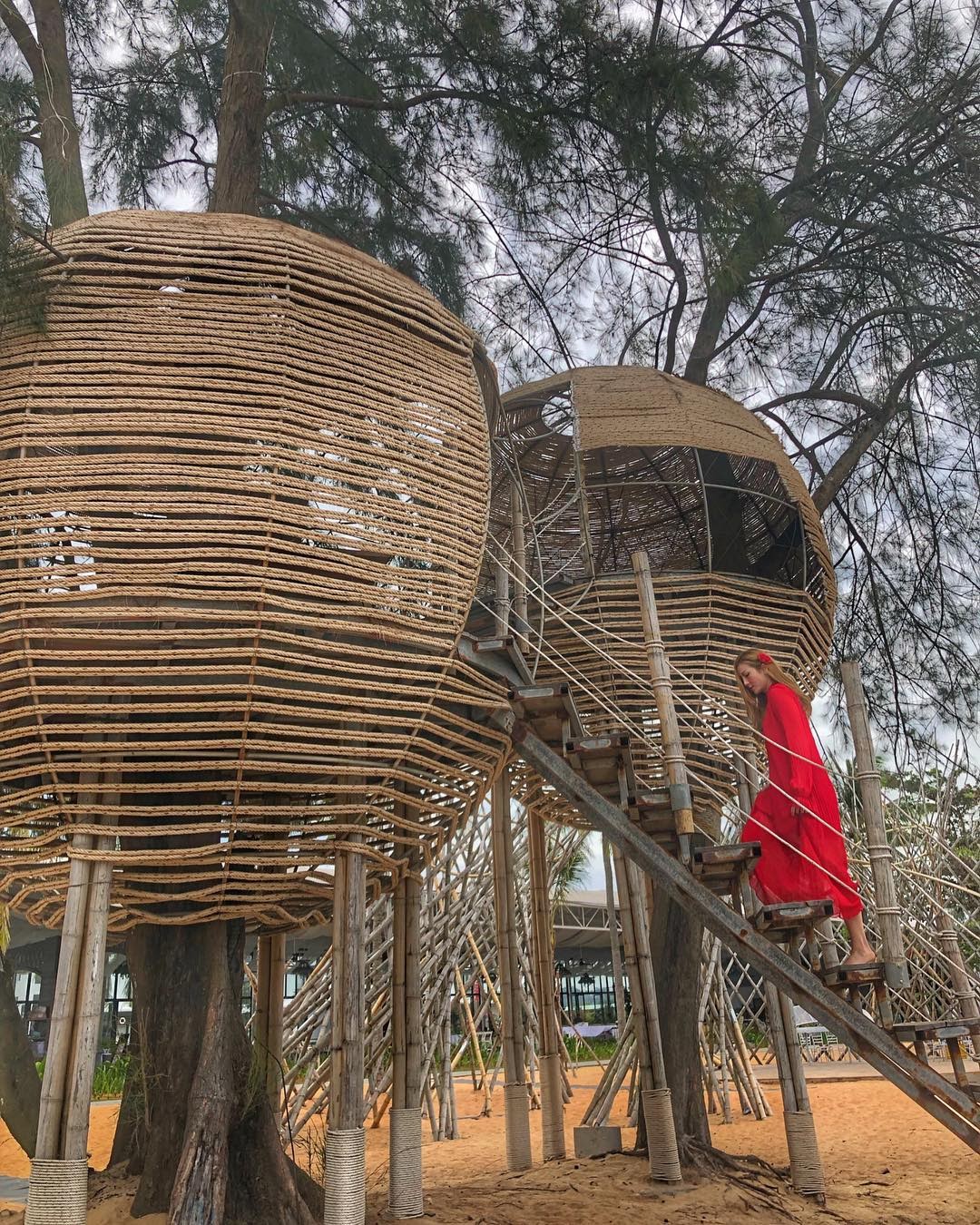 Ngôi nhà gỗ lơ lửng trên cây khiến giới trẻ phát cuồng ở Phú Quốc