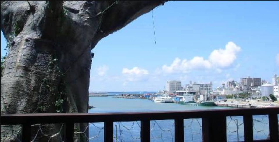 Độc đáo nhà hàng Naha Harbor Nhật Bản lơ lửng trên cây