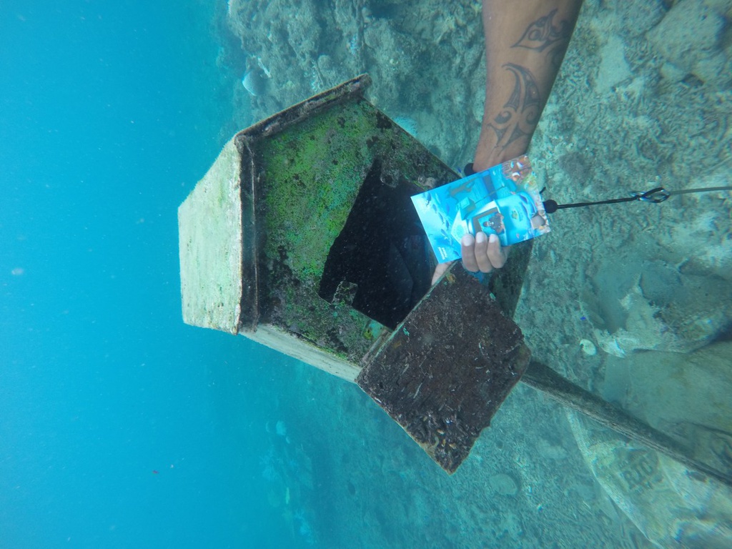 Khám phá bưu điện dưới đáy biển đầu tiên thế giới