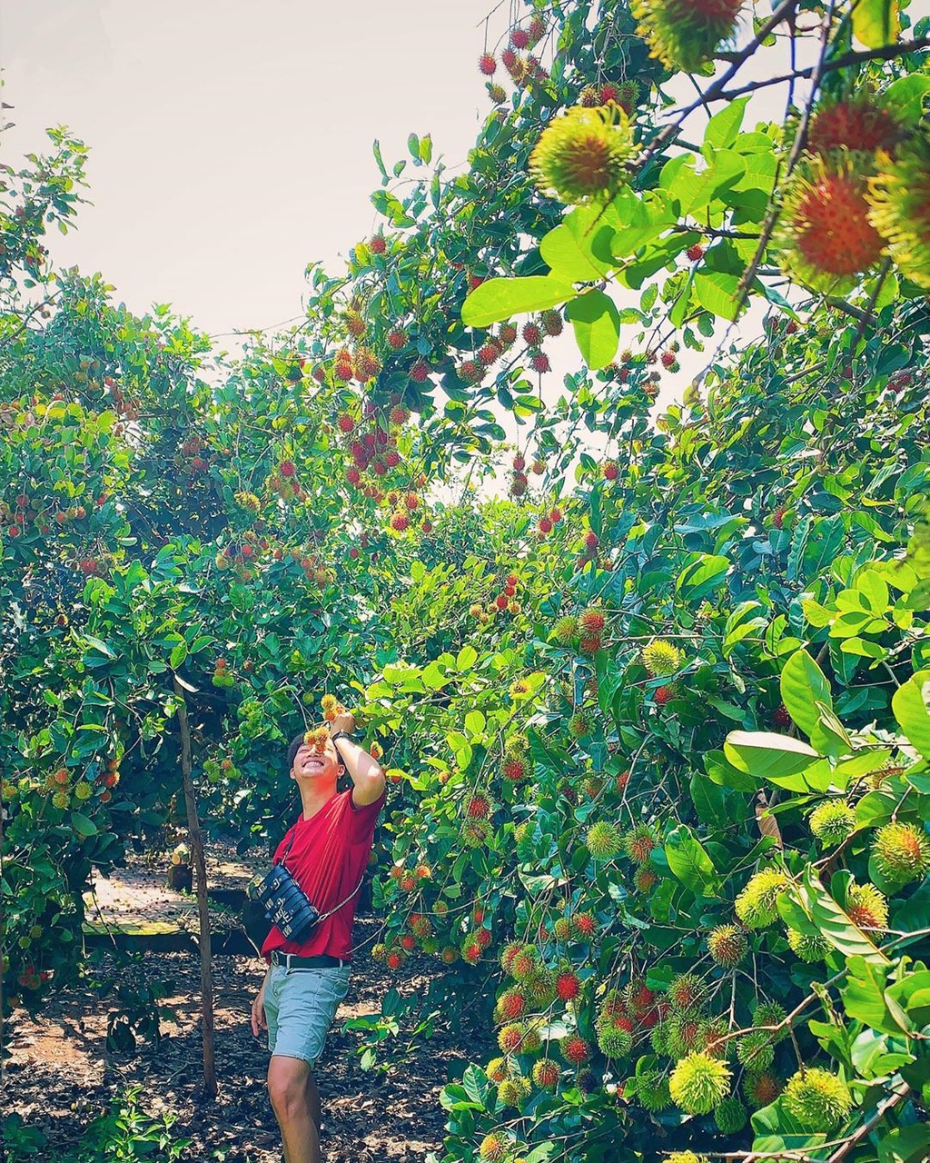 Ghé thăm 5 miệt vườn trái cây nổi tiếng ở miền Tây
