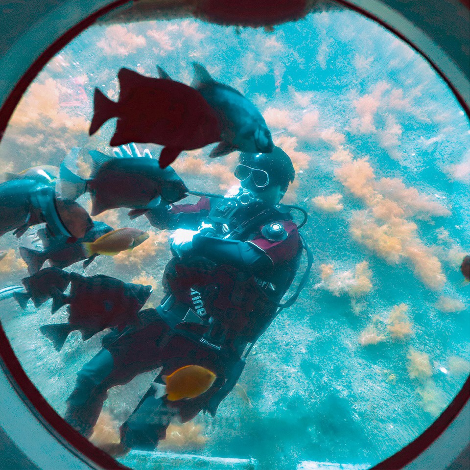 Lặn biển bằng tàu ngầm ở Maldives, Jeju có gì hấp dẫn?