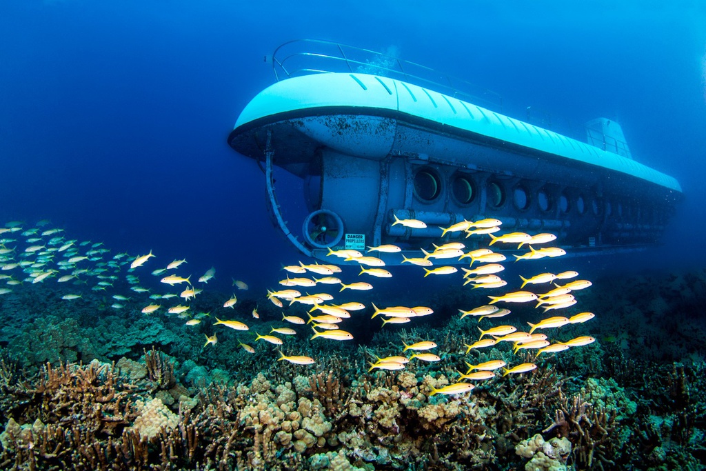 Lặn biển bằng tàu ngầm ở Maldives, Jeju có gì hấp dẫn?