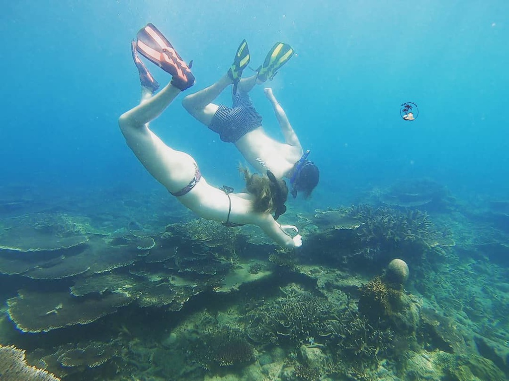 Nha Trang và các điểm lặn ngắm san hô hút du khách mùa hè