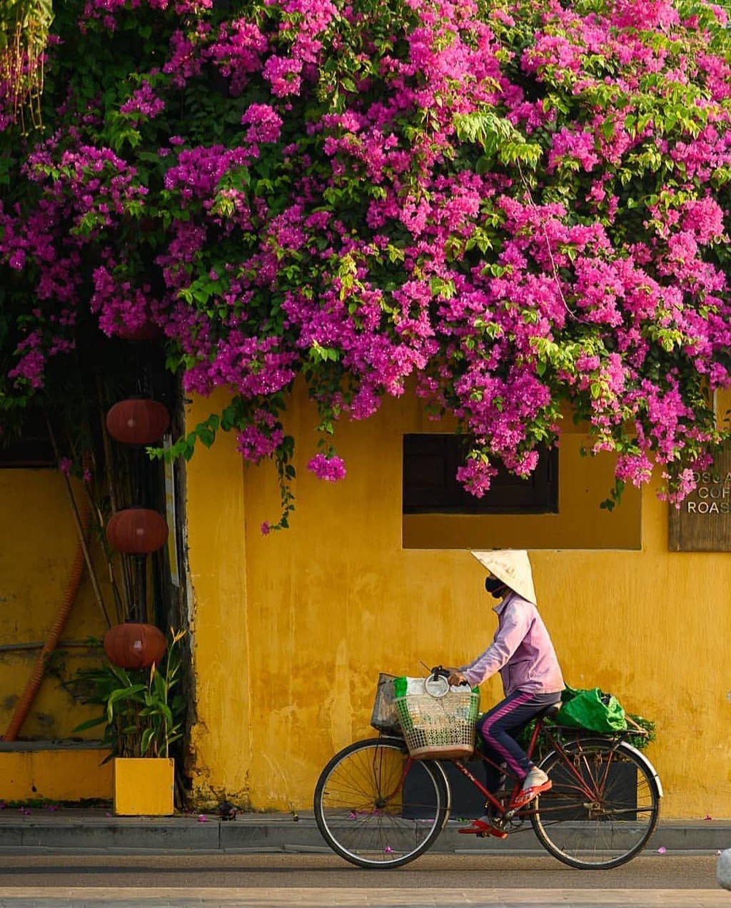 7 điều khách Tây hứng thú khi du lịch tại Việt Nam