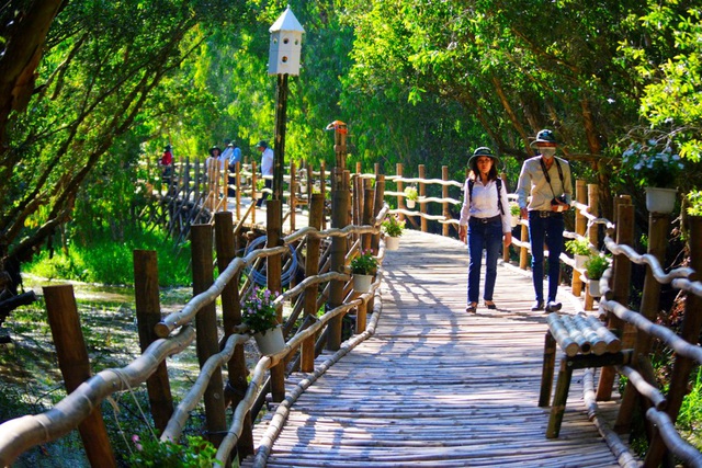Check in ngay cây cầu tre xuyên rừng tràm dài nhất Việt Nam
