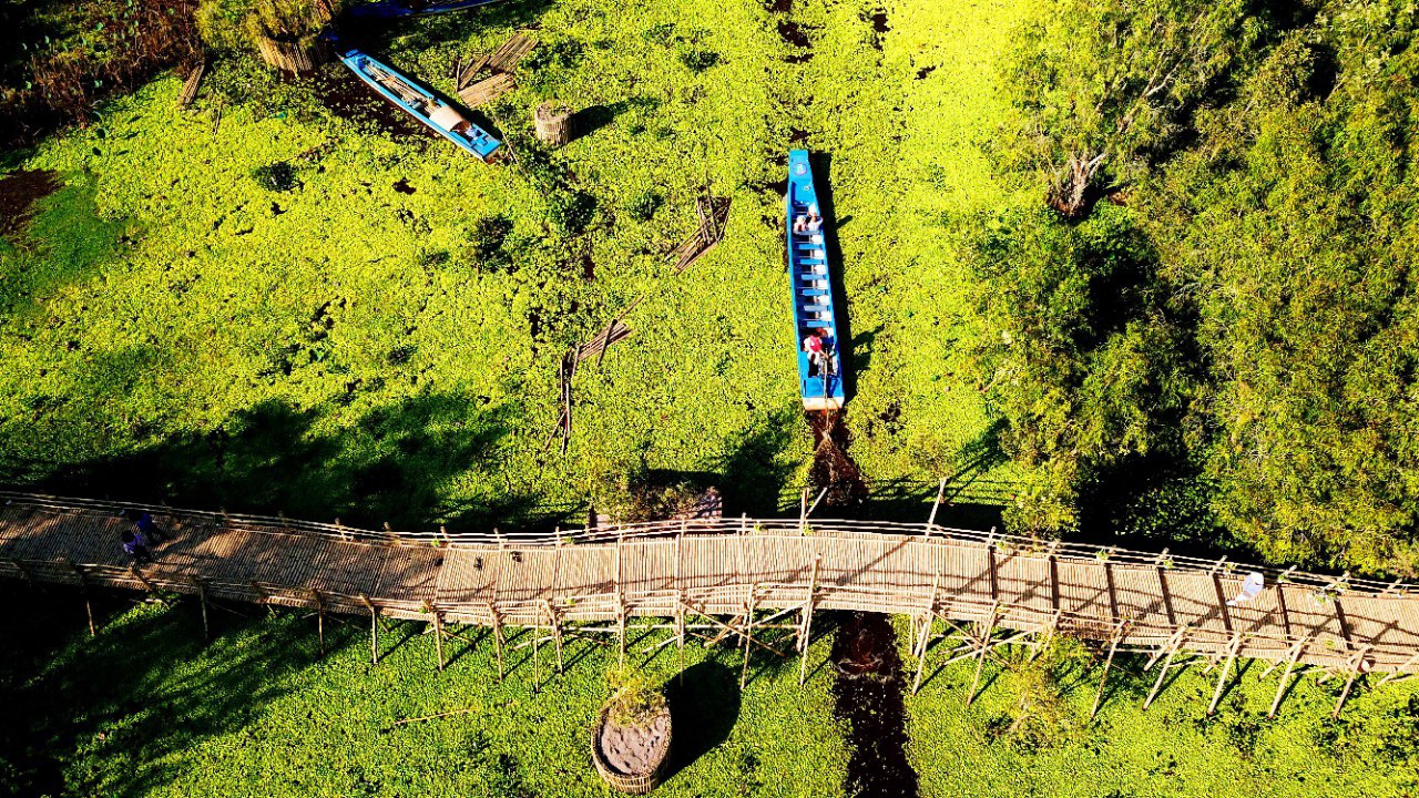 Check in ngay cây cầu tre xuyên rừng tràm dài nhất Việt Nam
