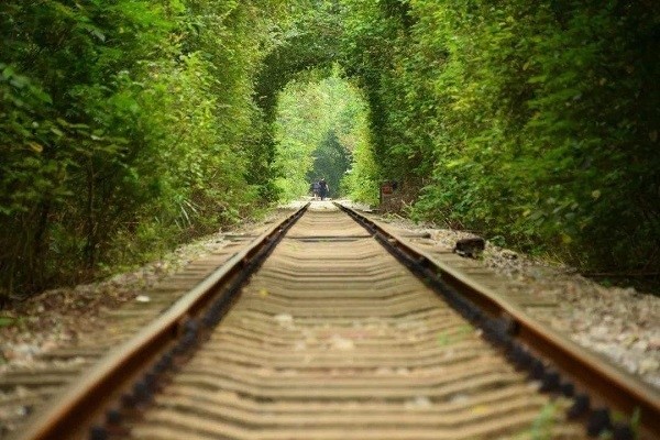 Đường ray xe lửa bỏ hoang phủ đầy cây xanh trở thành đường hầm lãng mạn