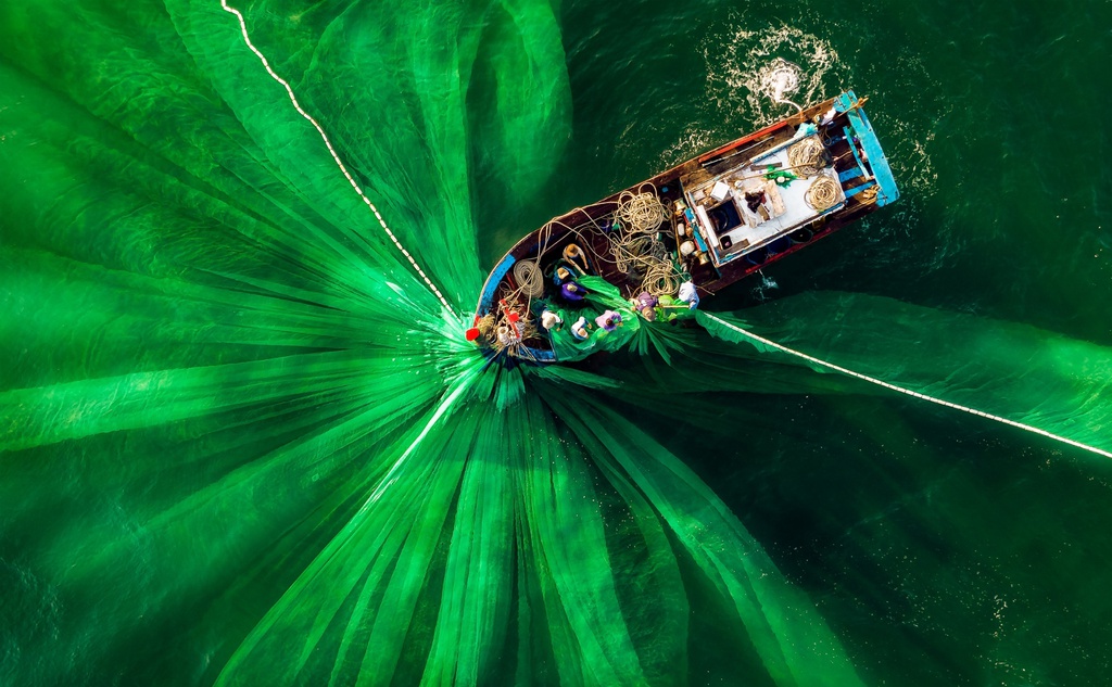 Hình đánh cá Việt Nam và loạt ảnh xanh mát thắng giải quốc tế
