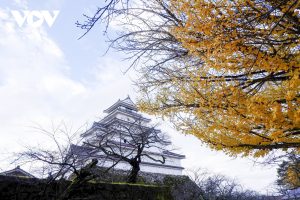 Ngây ngất sắc thu Nhật Bản trên “cung đường kim cương”