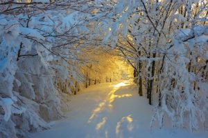 Ngắm những con đường tuyết trắng đẹp nao lòng vào mùa đông