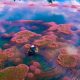 “Hồ tảo hồng” đẹp như tranh vẽ tại Lâm Đồng