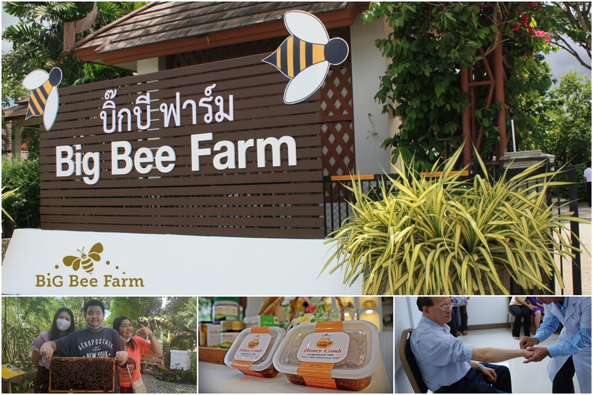 big bee farm 2