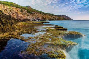 Tour Sài Gòn – Ninh Thuận: Khám phá vùng đất nắng gió miền Trung