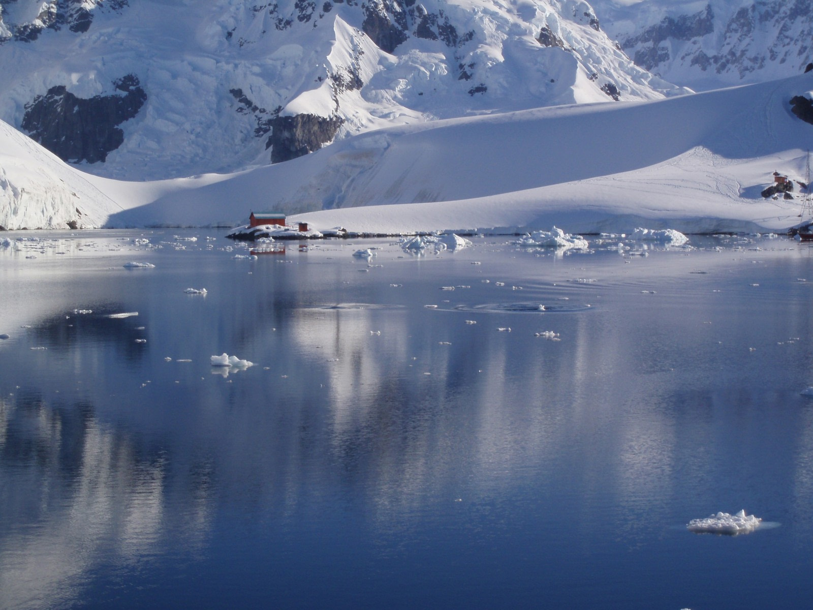 Paradise bay antarctic