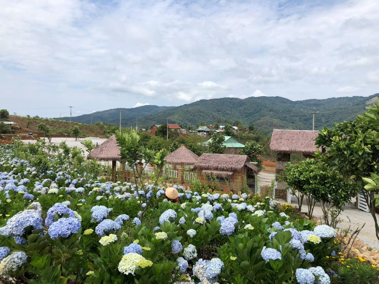 TOUR LIÊN TUYẾN TÂY NGUYÊN ĐẠI NGÀN