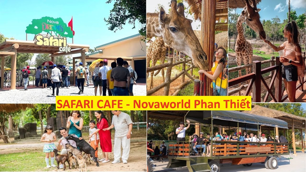 Safari Cafe