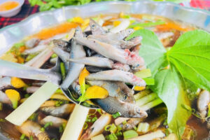 🐟CÁ LINH – MÓN QUÀ CỦA MÙA NƯỚC NỔI MIỀN TÂY🐟